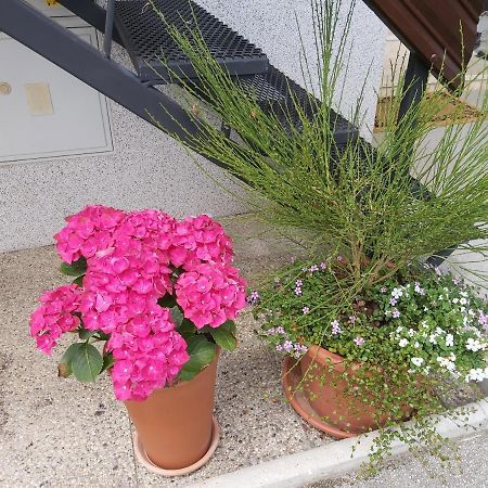 Apartma Arnez Bled Kültér fotó