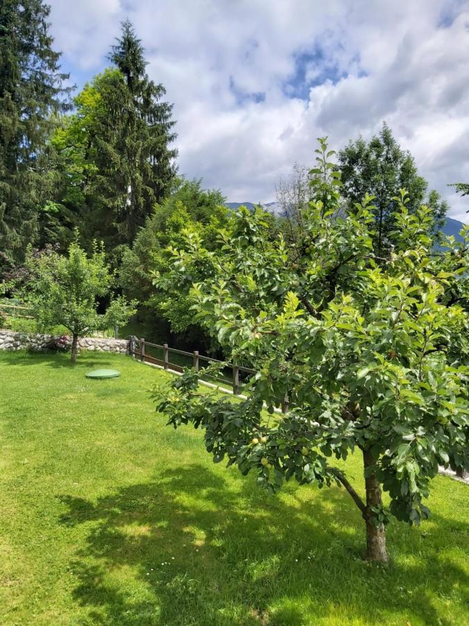 Apartma Arnez Bled Kültér fotó